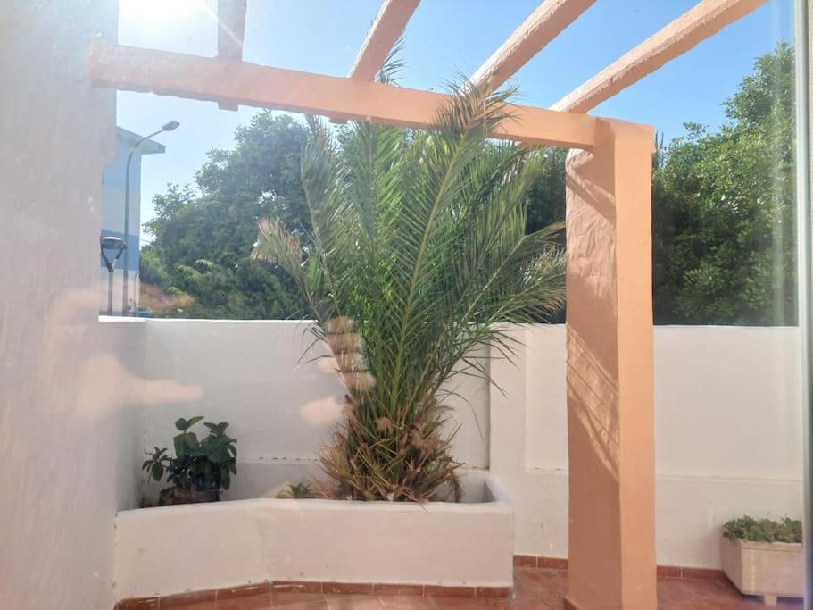 Apartament Piscina, Wifi, Patio Con Vistas Tarifa Zewnętrze zdjęcie
