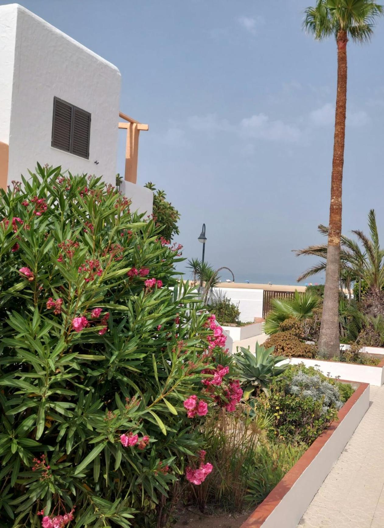 Apartament Piscina, Wifi, Patio Con Vistas Tarifa Zewnętrze zdjęcie